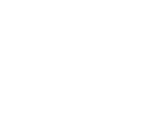 IBMS